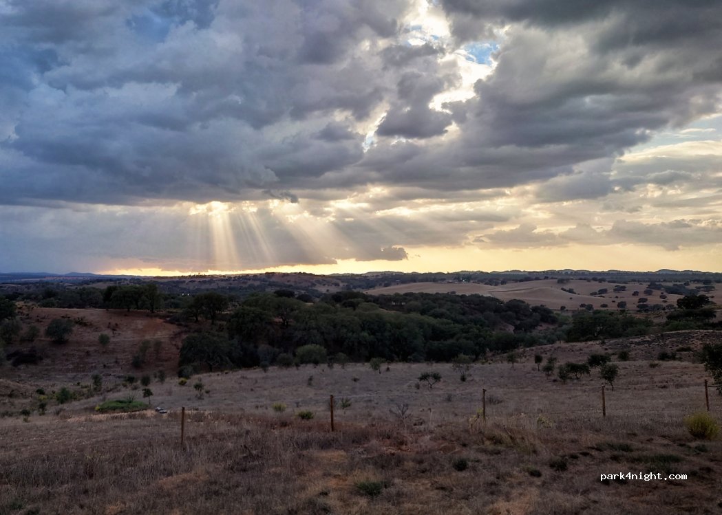 Garvão, thumbnail 4