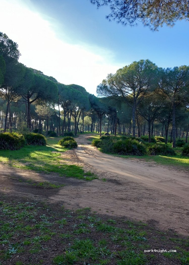 Tariquejo,H-9012 thumbnail 2