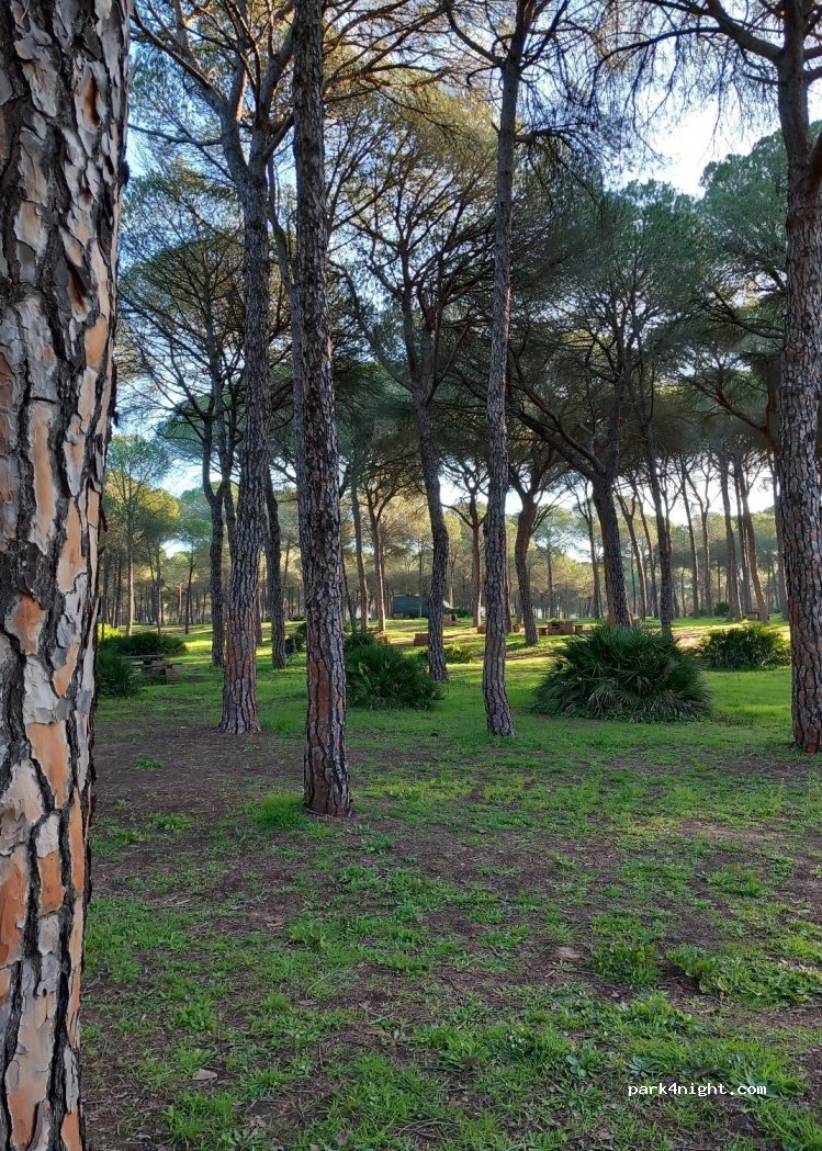 Tariquejo,H-9012 thumbnail 3