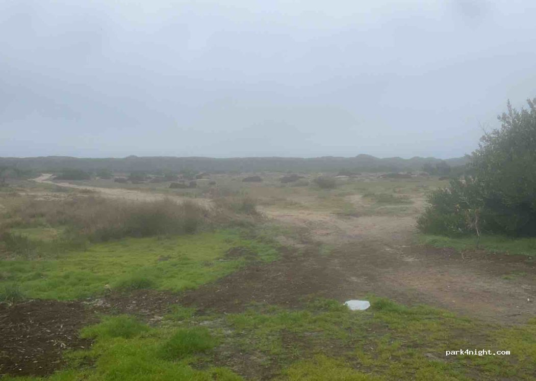 Torreira, thumbnail 2