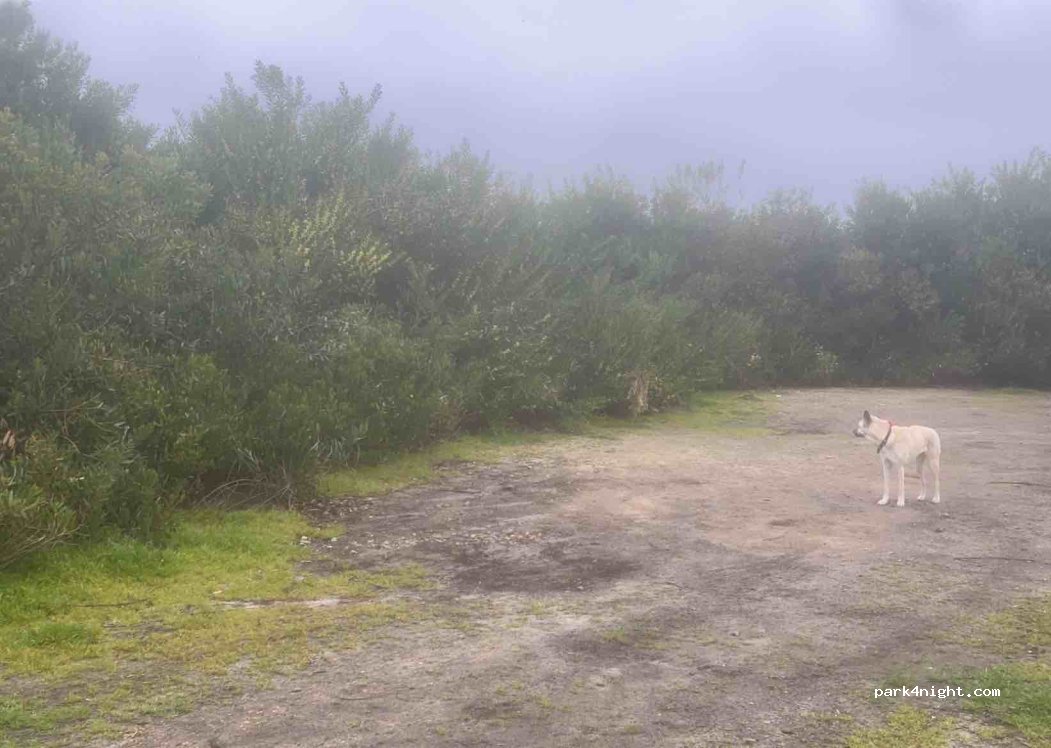 Torreira, thumbnail 3