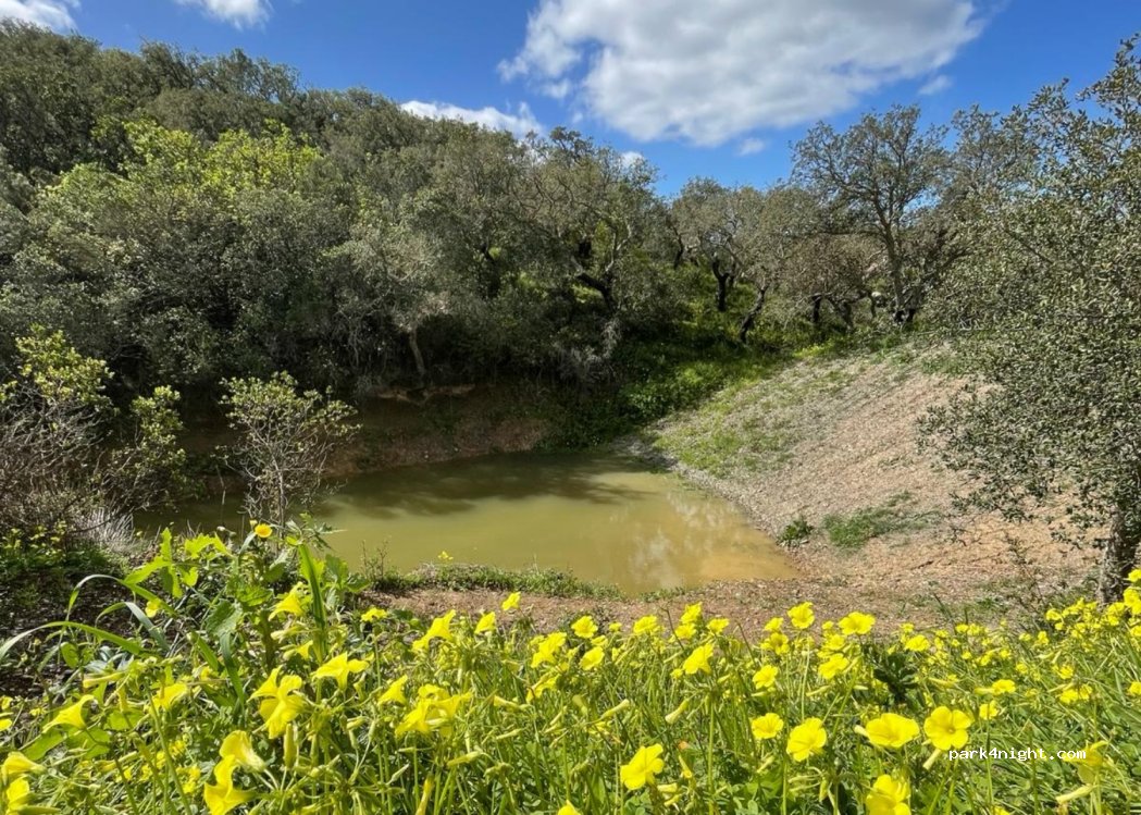 Bensafrim, thumbnail 4