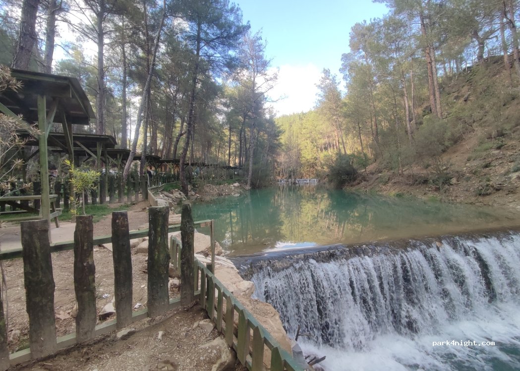 Yedigöze Orman Parkı photo 4