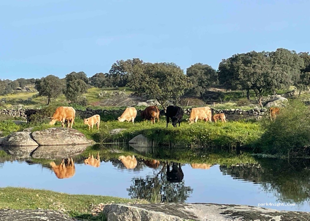 Urbanización Zamarrilla, thumbnail 2