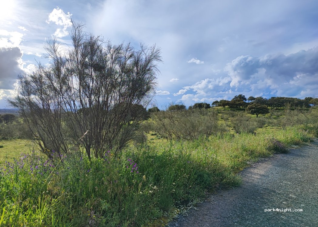 Piedras Albas, thumbnail 3