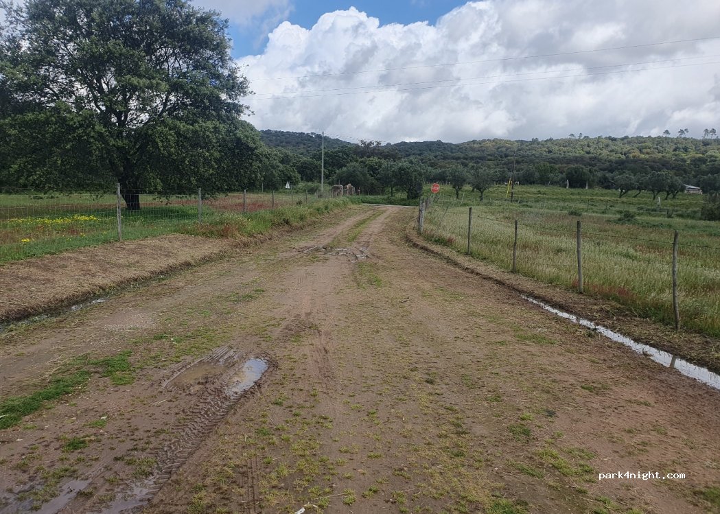 Nossa Senhora da Boa Fé,CM1079 thumbnail 4