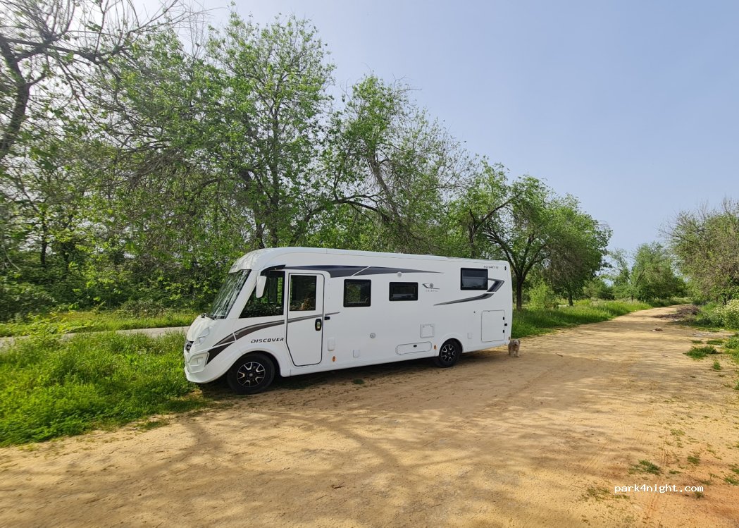 Espartinas, - photo 1