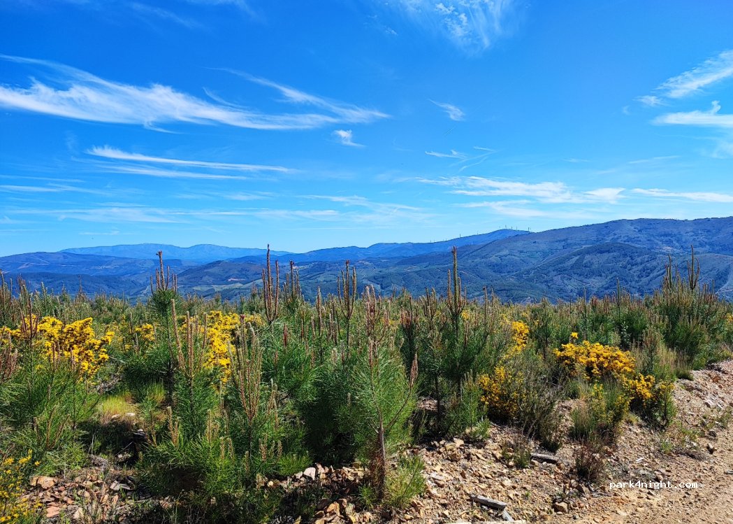 Estreito, thumbnail 4