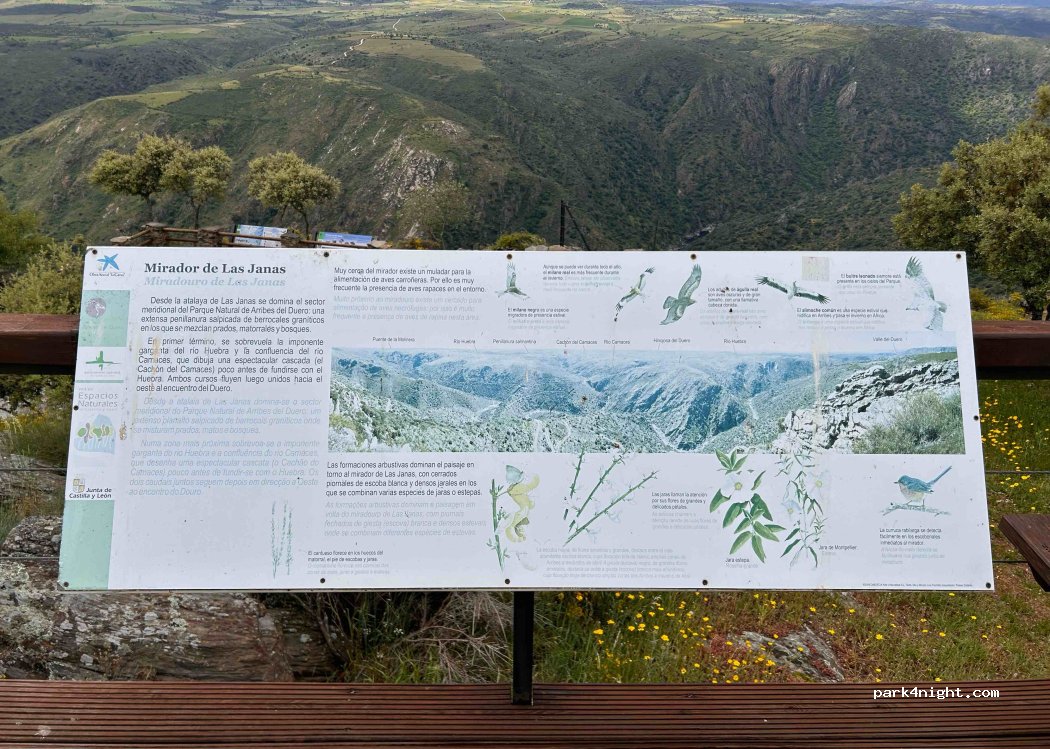 Saucelle,  Calle el Naranjo thumbnail 3