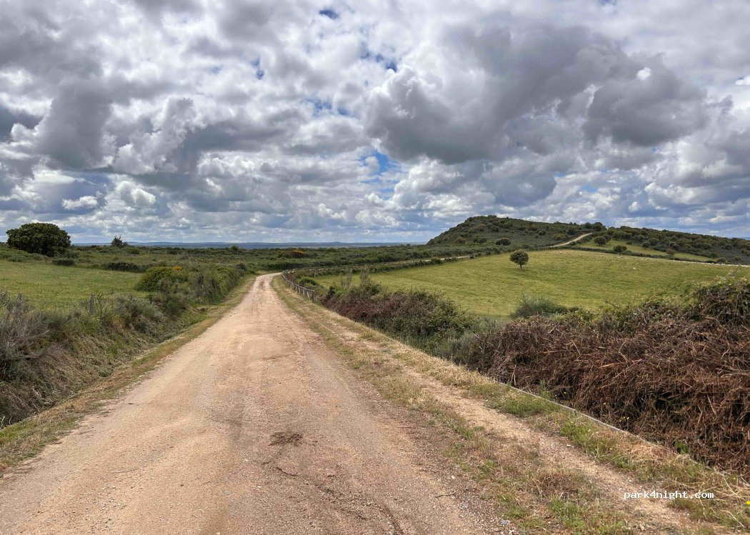 Saucelle,  Calle el Naranjo thumbnail 4