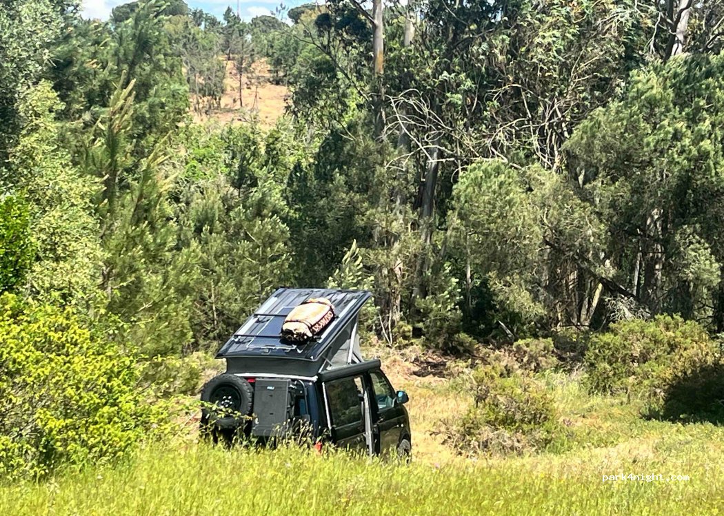 Santana, thumbnail 4