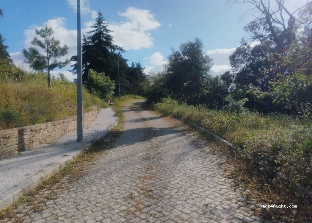 Vila Nova de Foz Côa,Unnamed Road thumbnail 2
