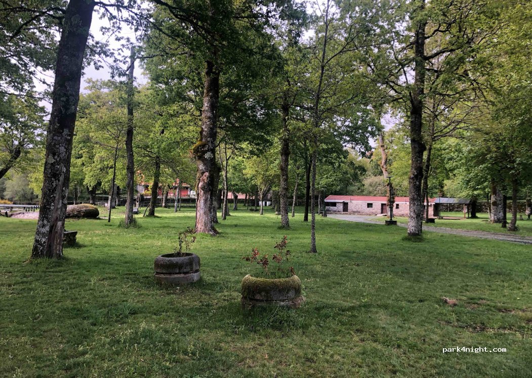 Salto, 9 Rua Torrão da Veiga thumbnail 4