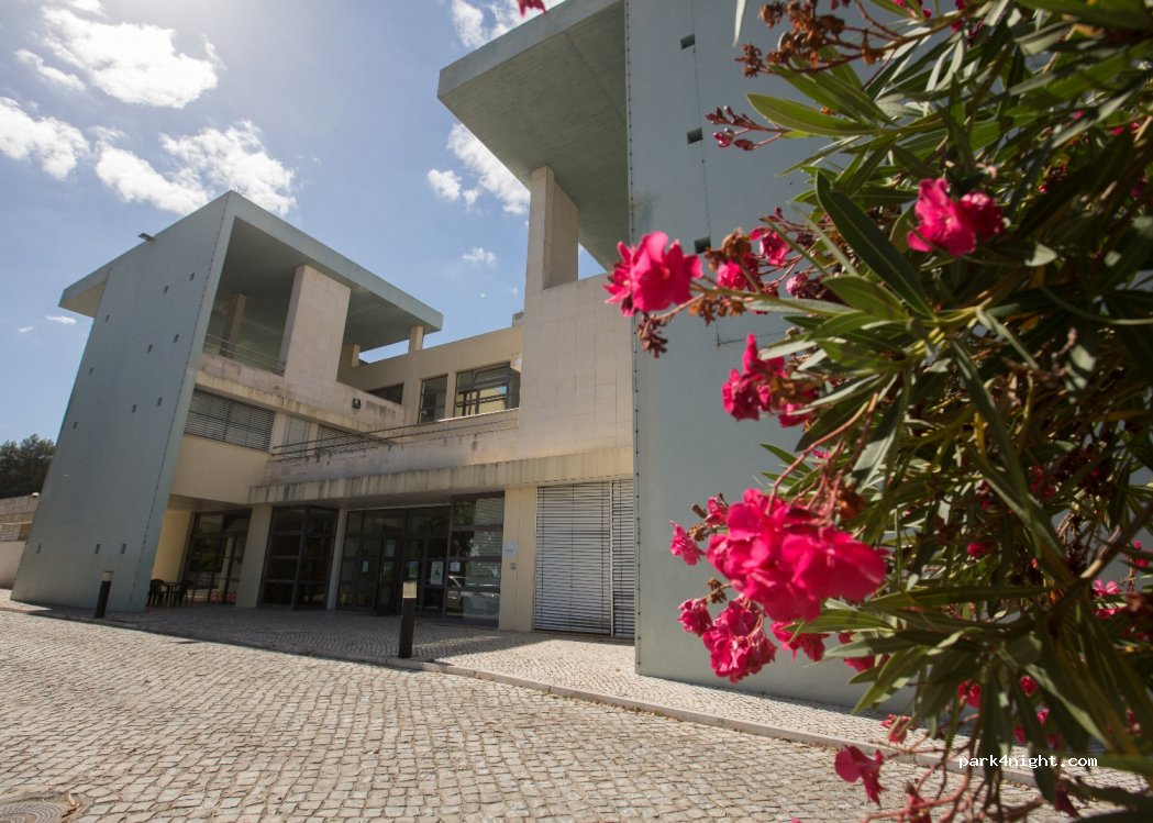 Abrantes, 467 Rua da Barca - photo 1