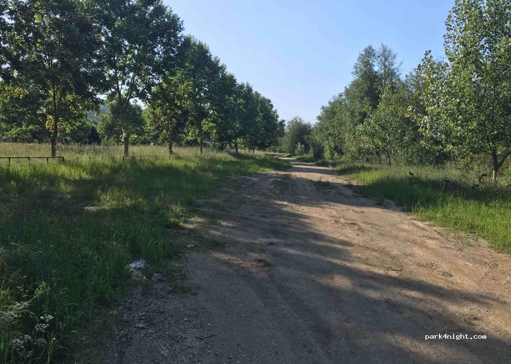 Góis, 55 Nacional 2 thumbnail 2