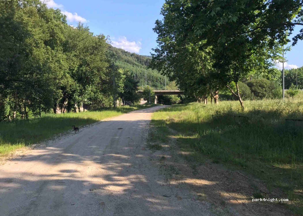 Góis, 55 Nacional 2 thumbnail 3