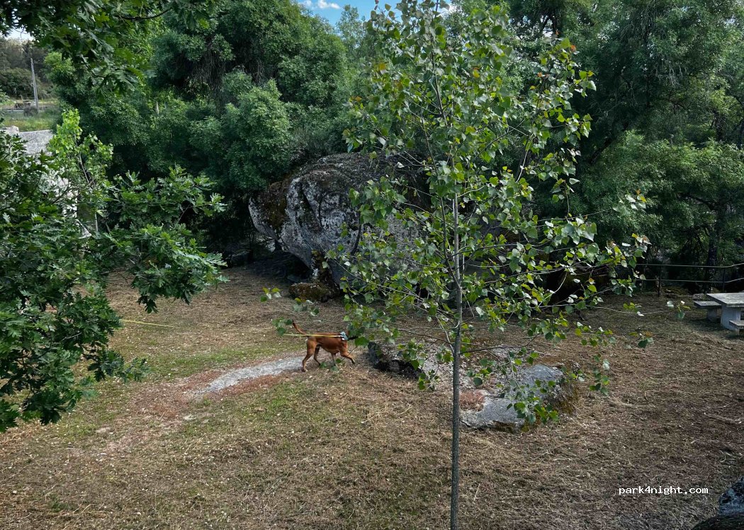 Ferreirim,M506 thumbnail 2