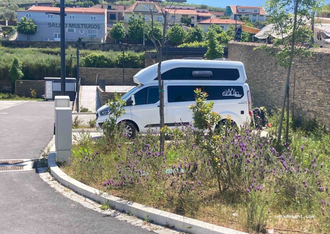 Ervedosa do Douro, 28 N222 thumbnail 4