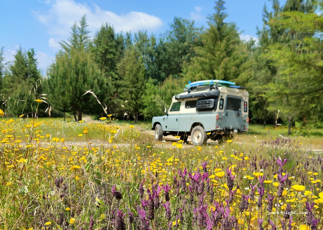 , Unnamed Road thumbnail 4