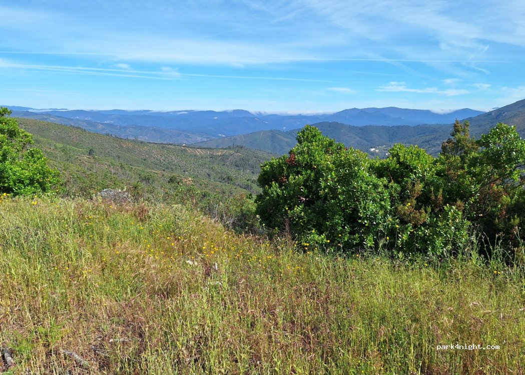 Estreito, 87 N238 thumbnail 2