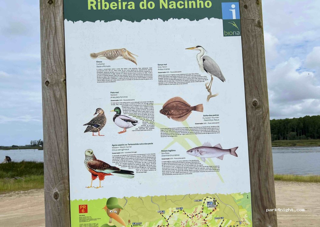 Pardilhó, 85 Rua Pedro Ribalta thumbnail 3