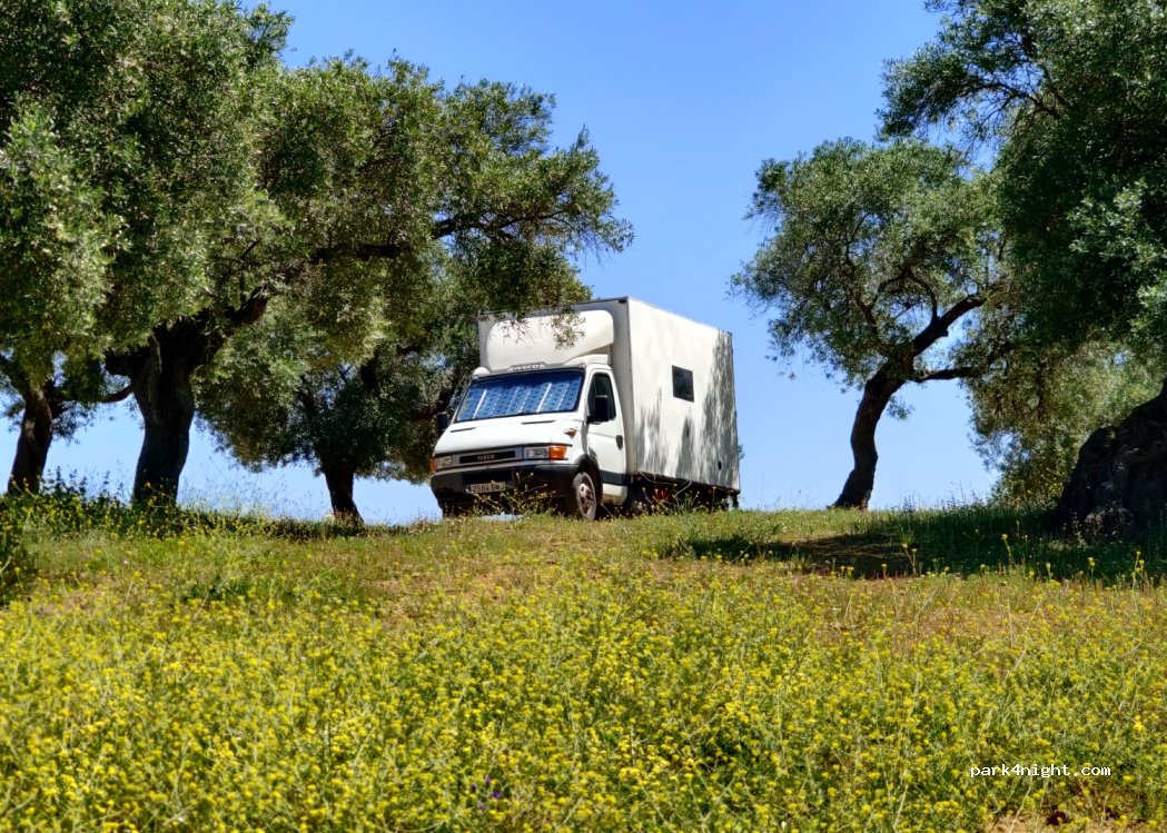 Carmona - Unnamed Road photo 4