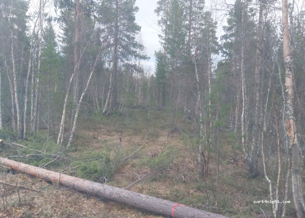 - Primær Fylkesveg 87 photo 2