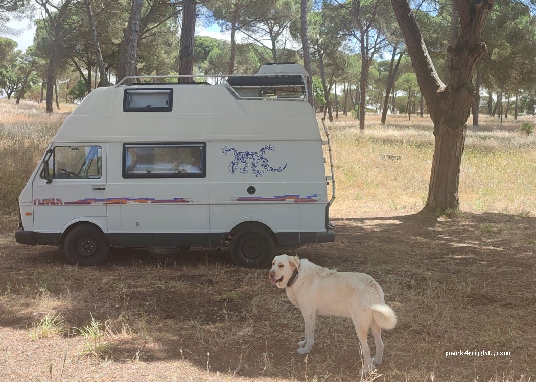 Casa do Infantado, thumbnail 3