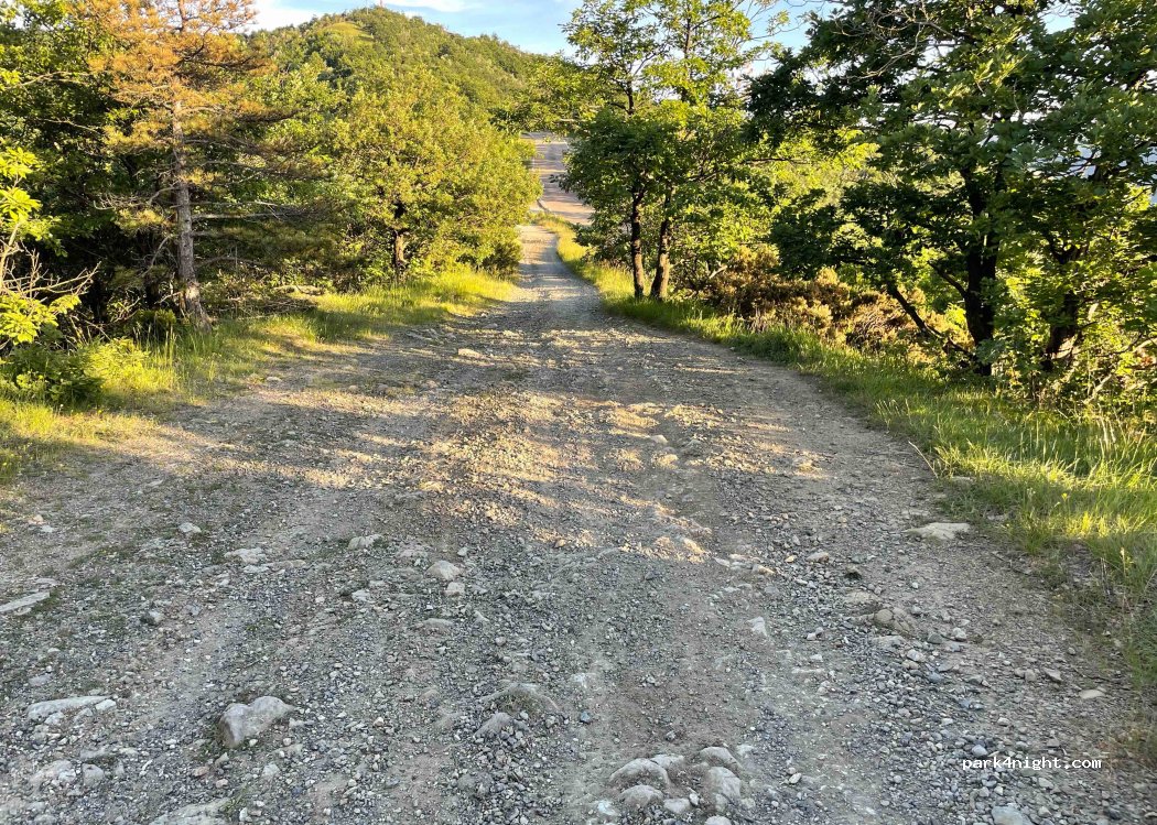 Albera Ligure - Strada Provinciale 165 photo 4
