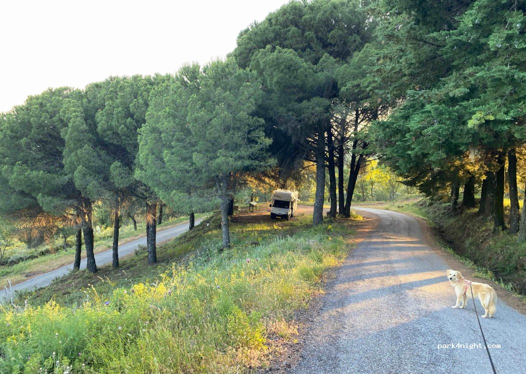 Almonaster la Real,Unnamed Road thumbnail 3