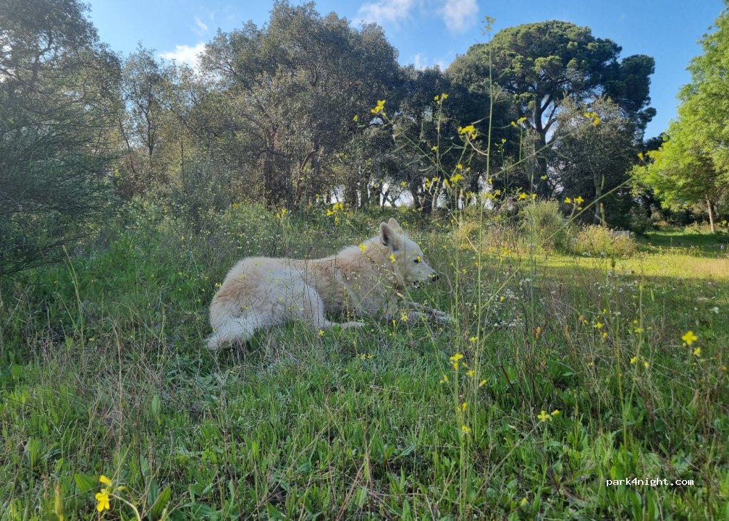 Póvoa de Rio de Moinhos, thumbnail 2