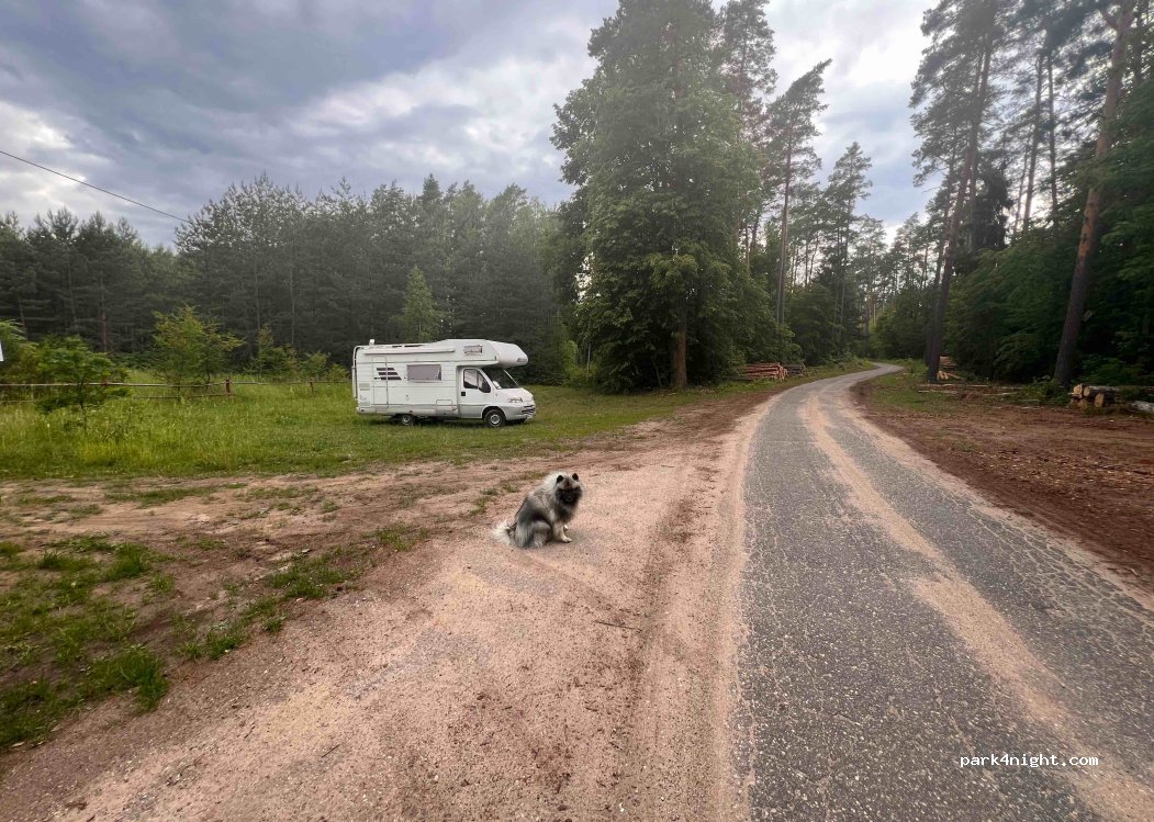 (11-731) Borowe - Unnamed road photo 4