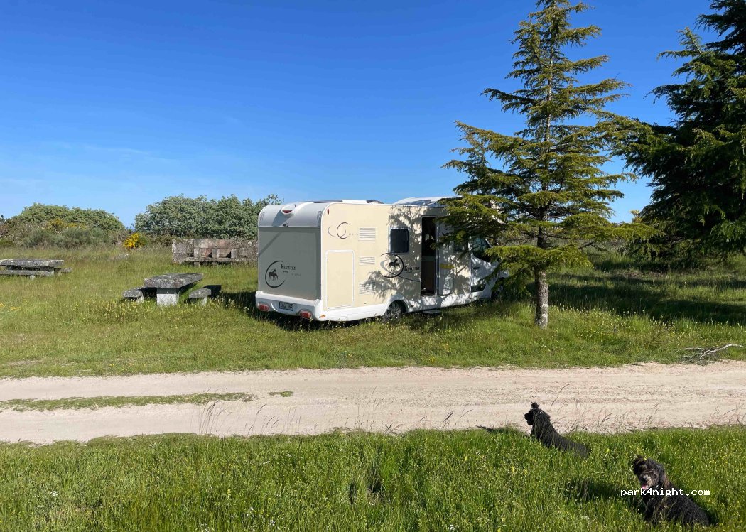 San Pedro, thumbnail 4