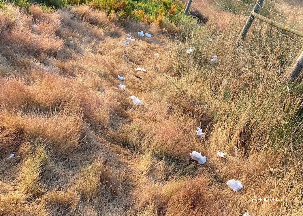 Vale de Judeus, Unnamed Road thumbnail 4