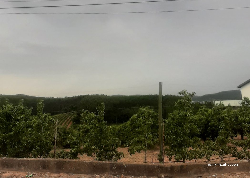 Caldas da Rainha,8 Rua Manuel Louro Miguel thumbnail 2