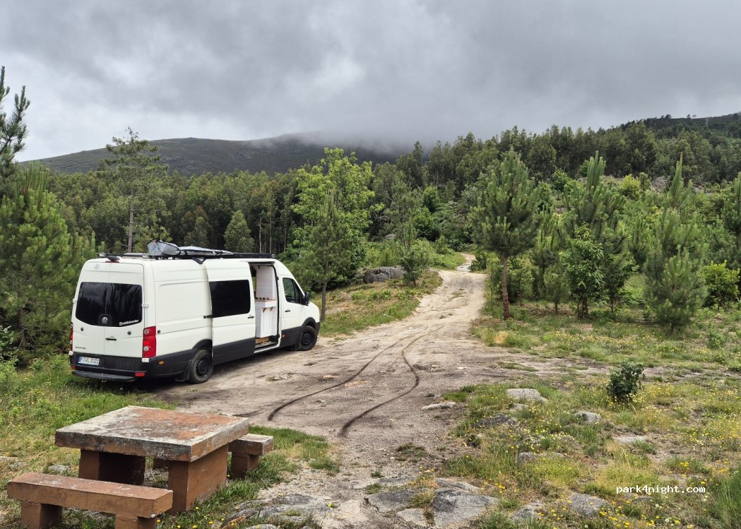 Moldes,CM326 thumbnail 3