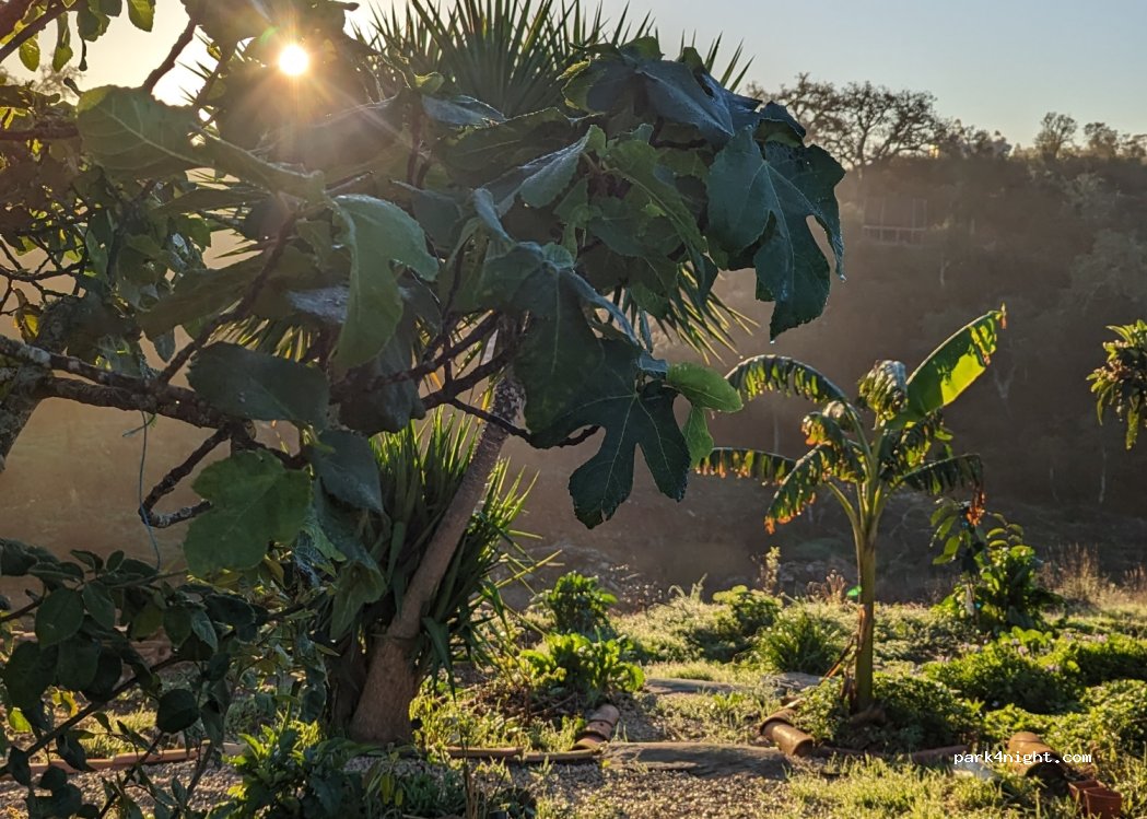 Luzianes,Vale Cernes thumbnail 4