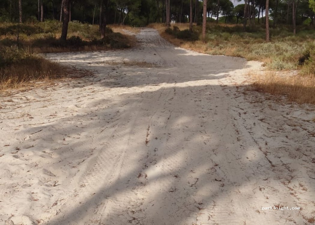 Bonares,19 Diseminado el Corchito thumbnail 3