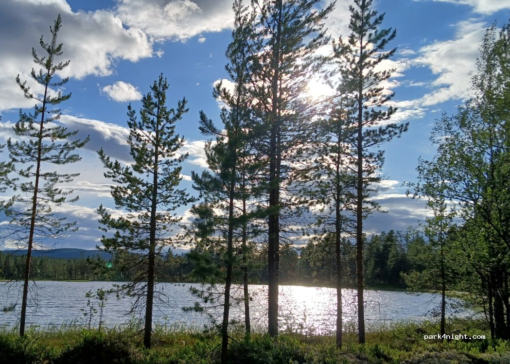 Drevsjø - Unnamed Road photo 4