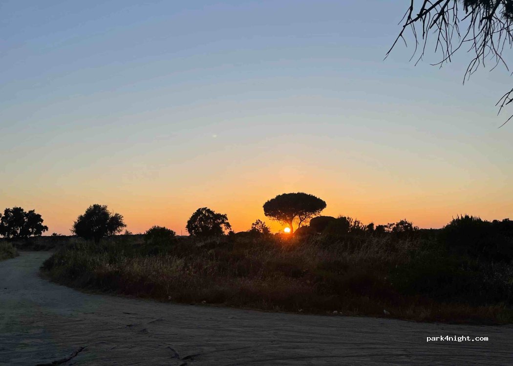 Faro, 15 Rua Manuel Gomes Guerreiro thumbnail 3