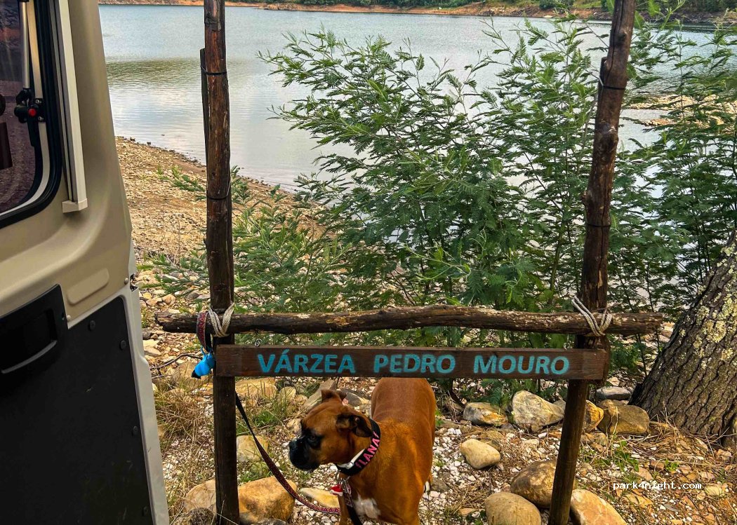 ,  CM1146 thumbnail 2