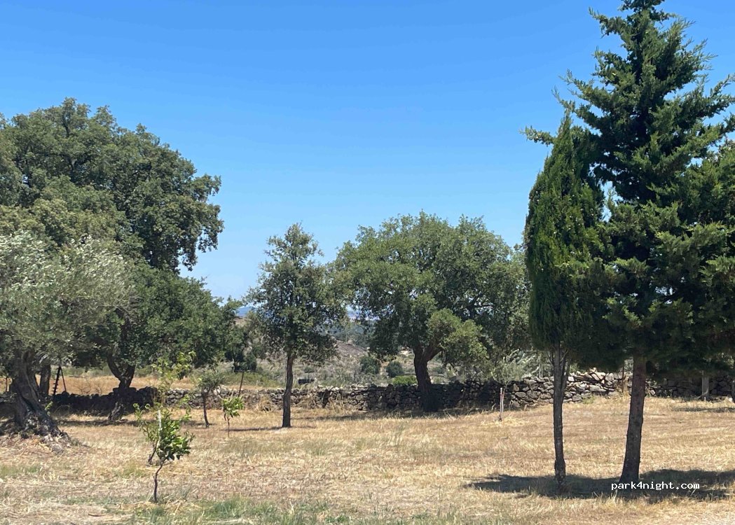 San Pedro, thumbnail 2