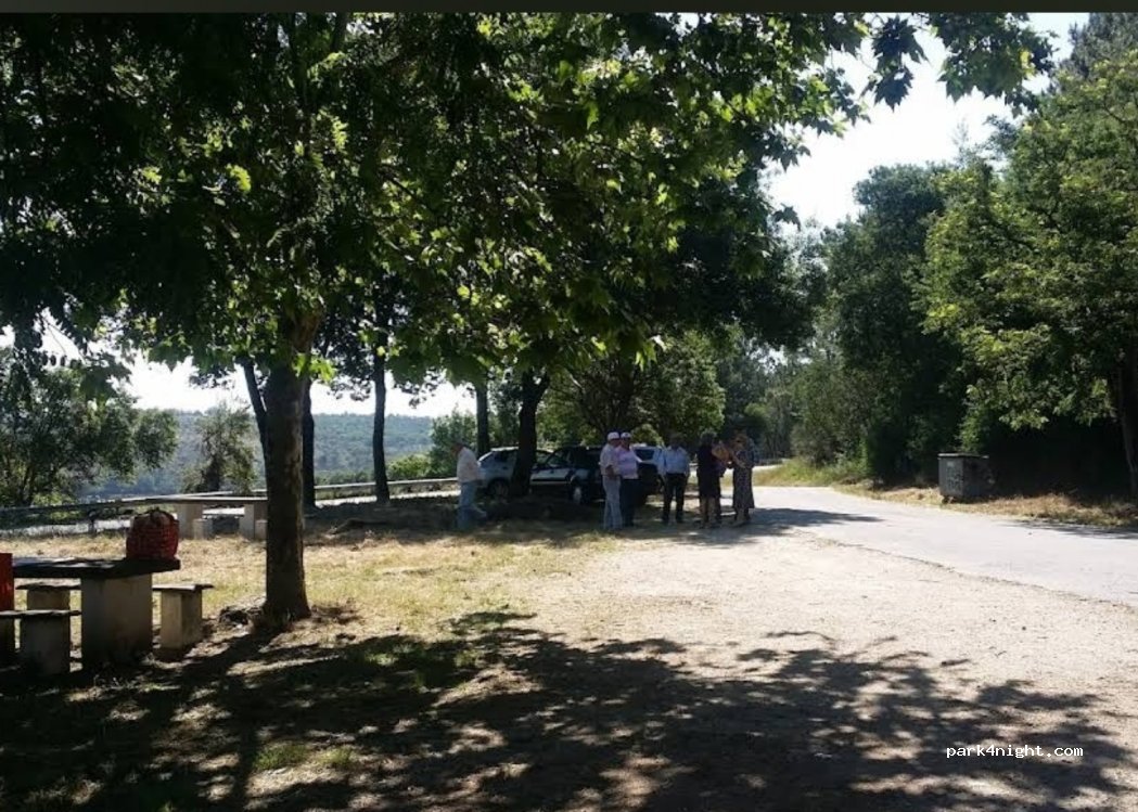 , 1 N246 thumbnail 4