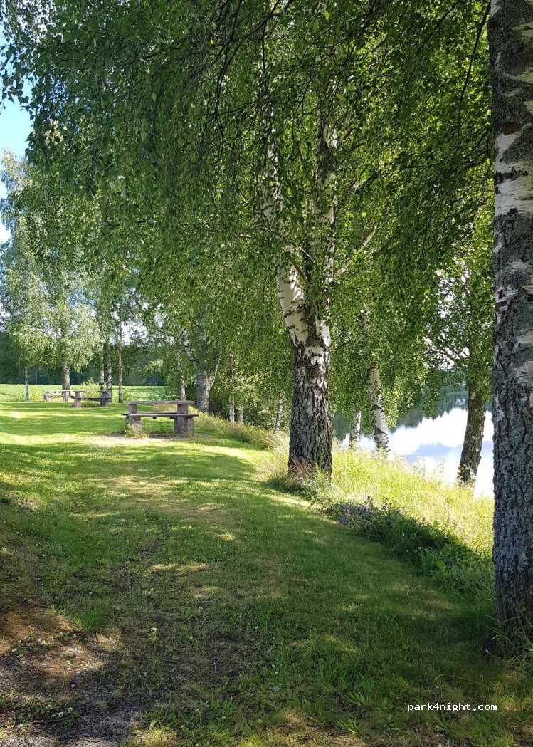 sander - 250 Kongsvingervegen