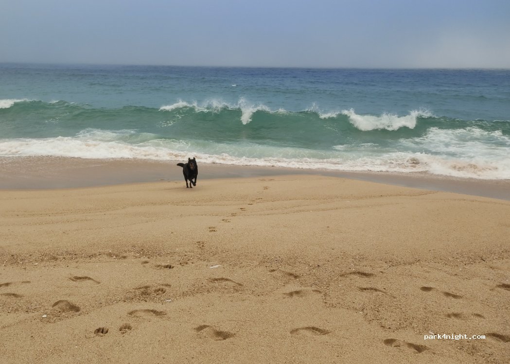 Parque do Avô thumbnail 3