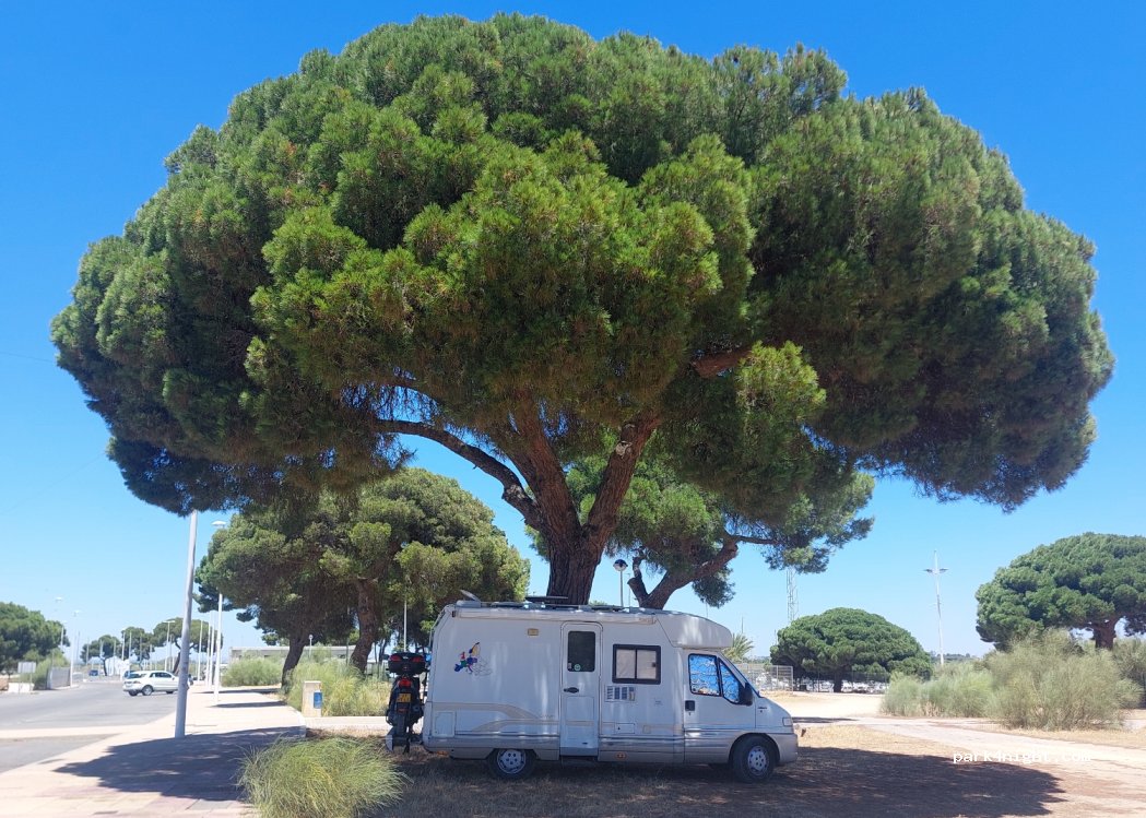 Punta Umbría, 38 Avenida de la Marina thumbnail 2