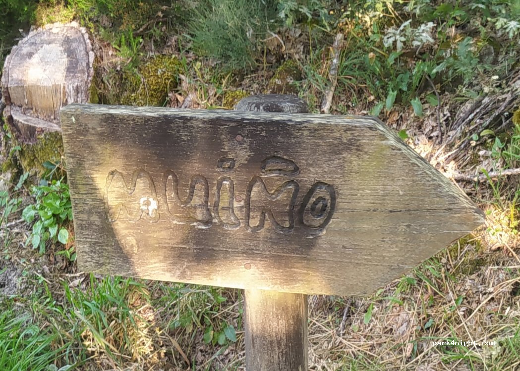 O Canizo, thumbnail 3