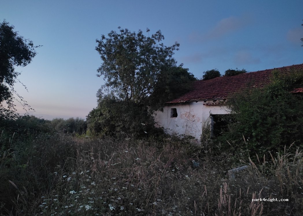 Mogofores, thumbnail 3