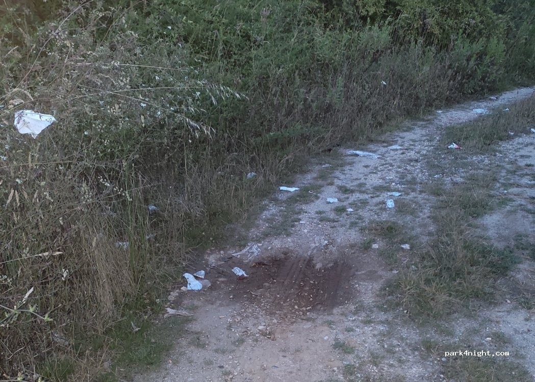 Mogofores, thumbnail 4