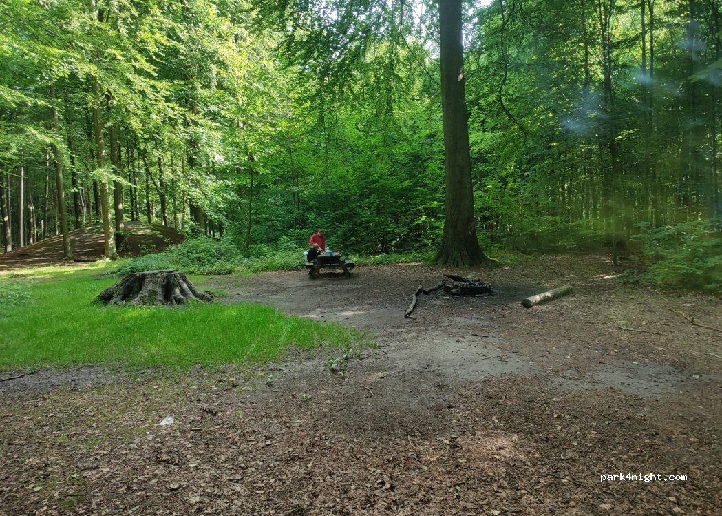 Nærum - Skovfogedvej photo 4